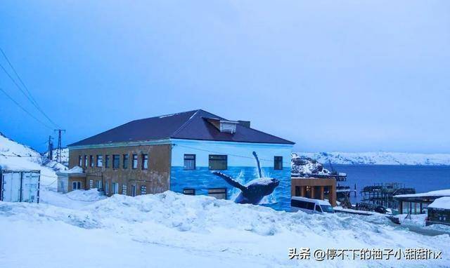 在世界尽头排长队坐最孤独秋千爱游戏平台中国人北极圈春运(图13)
